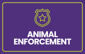 Animal Enforcement