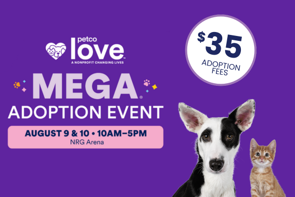 Mega Adoption Event Flyer