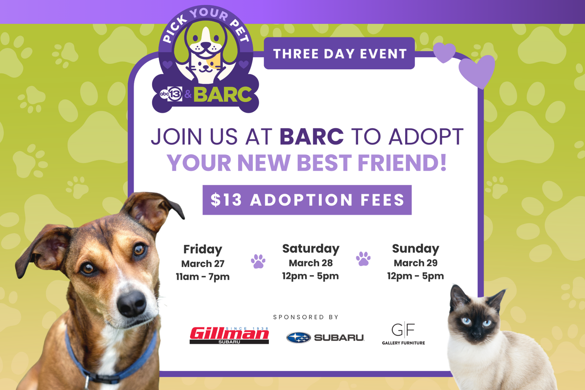 ABC13 Pick Your Pet Adoption Event