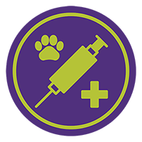 Wellness Services