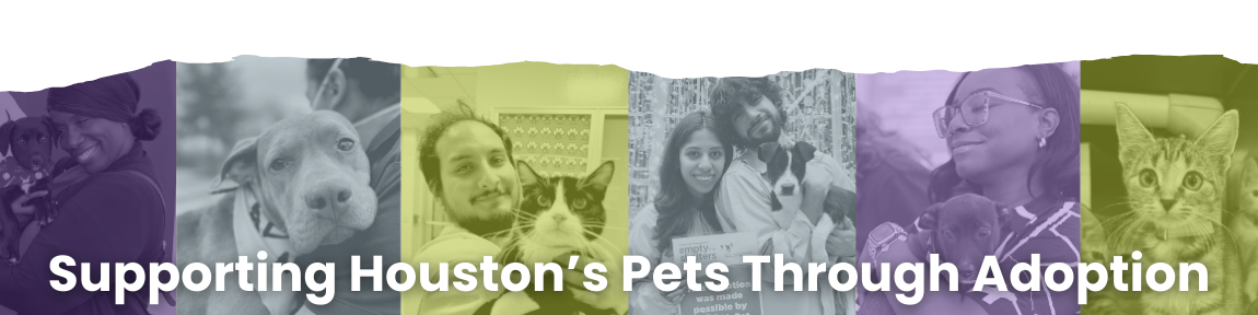 adoption page banner