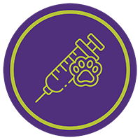 Wellness Clinic