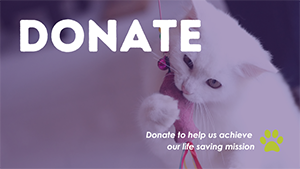 Donate