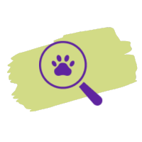 Report a Lost Pet