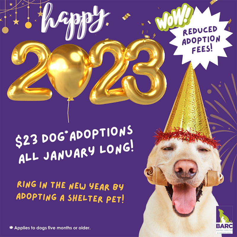 BARC January Adoptions