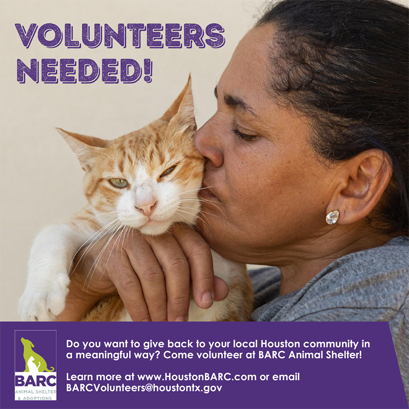 BARC Volunteers Graphic