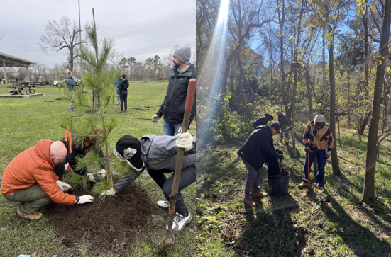 Tree Planting
