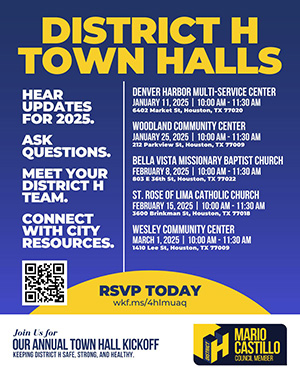 Town Halls Flyer - English