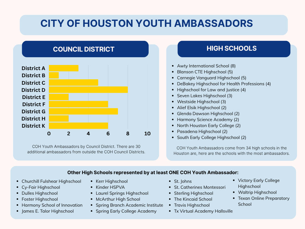 Youth Ambassadors Demographic Profile 2