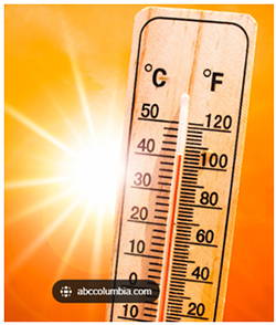 Thermometer Graphic