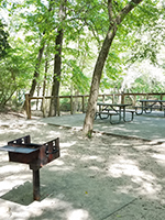 LHWP Peach Creek