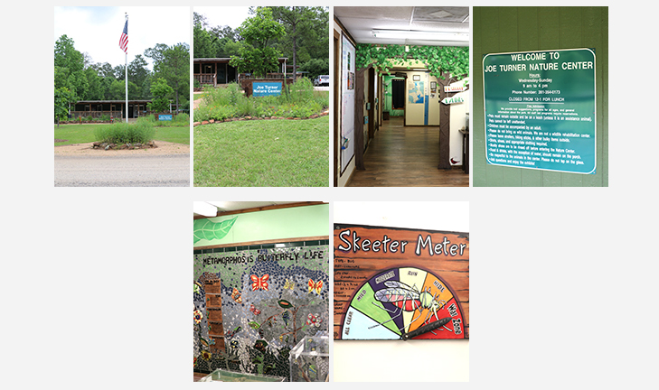Joe Turner Nature Center Collage