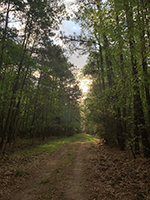 LHWP Trails
