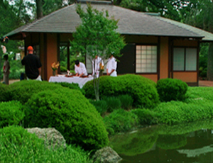 JAPANESE GARDEN