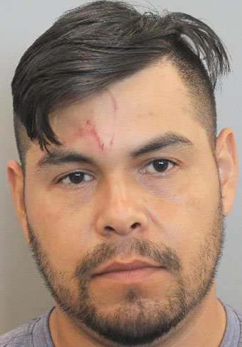 Michael David Arevealo