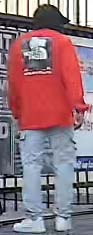 Wanted Suspect