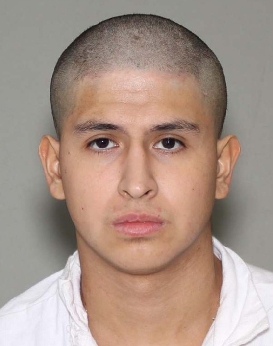 Damien Vega